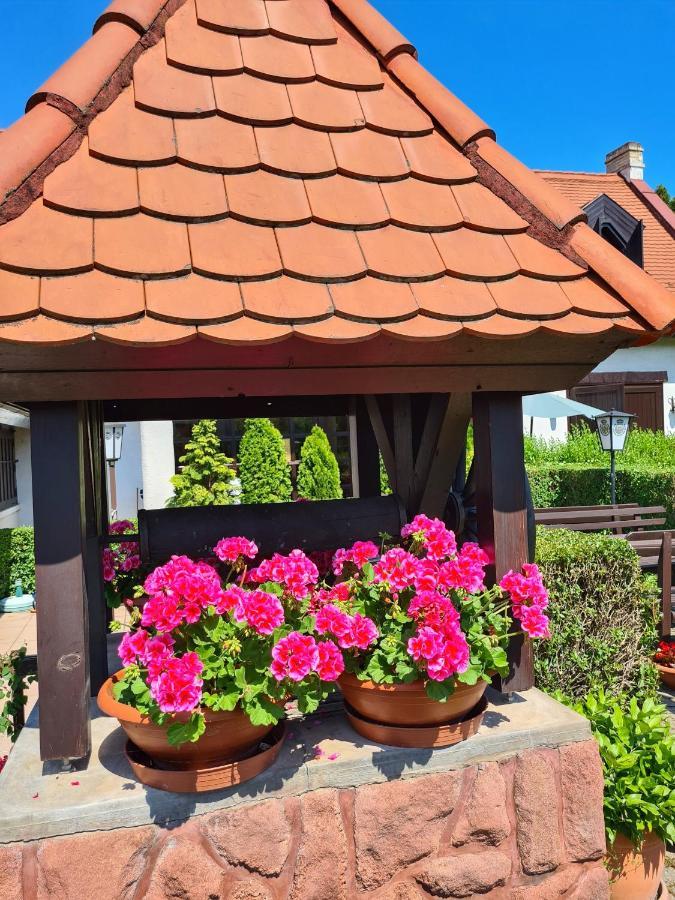 Agas Vendeghaz Otel Csopak Dış mekan fotoğraf