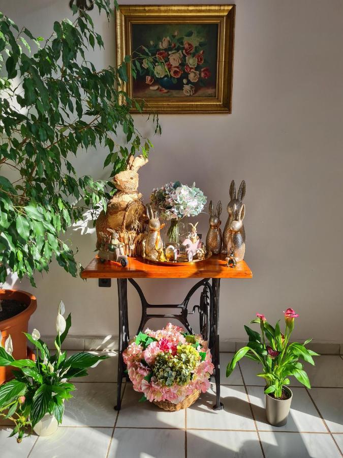 Agas Vendeghaz Otel Csopak Dış mekan fotoğraf